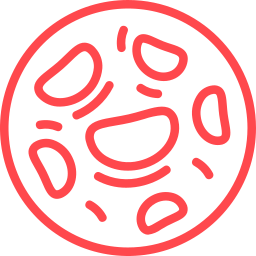 musica, copas y diversion en minaya